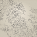 Motion Detection Art