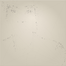 Motion Detection Art